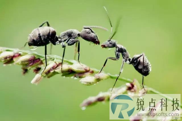 当我们成为了地球大脑的神经元，科技或许从来不曾属于人类